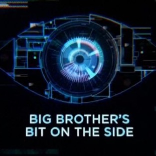 Big Brothers Bit On The Side