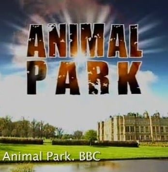 Animal Park