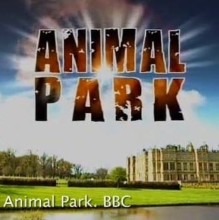 Animal Park